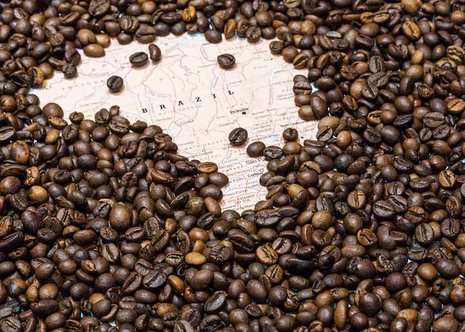 Cà phê Arabica là gì