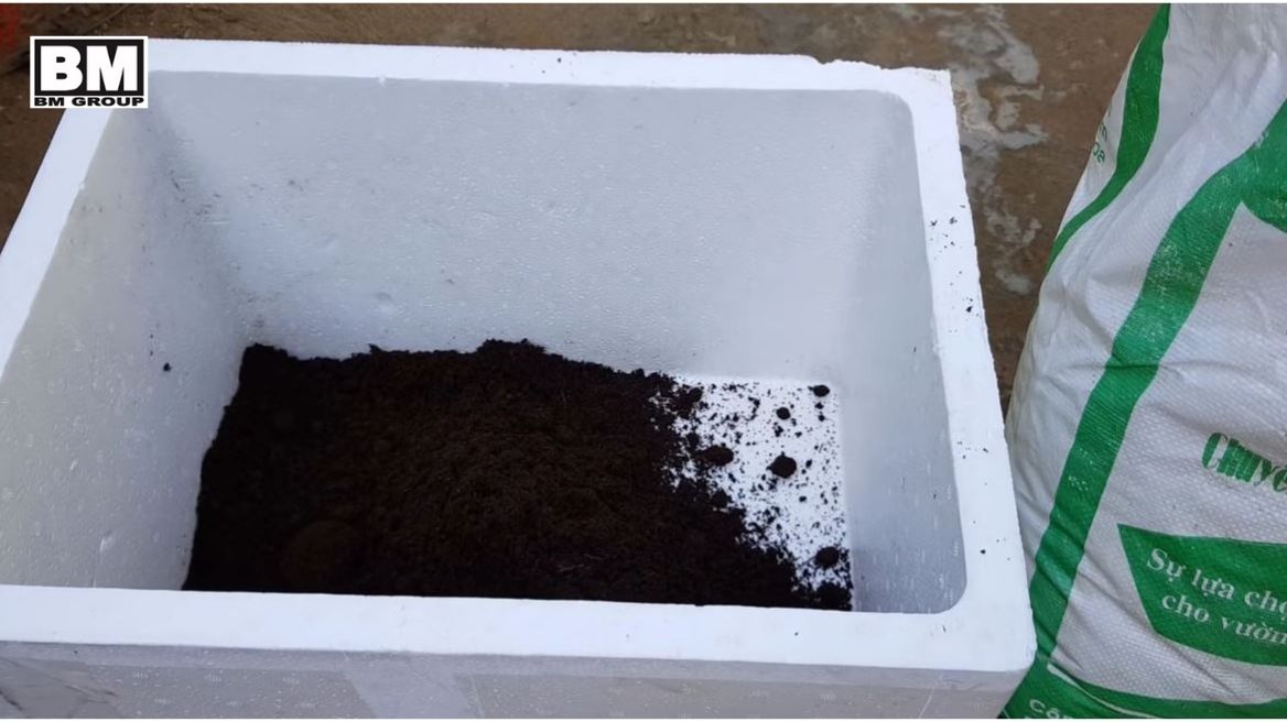 Cách làm phân bón hữu cơ bằng bã cà phê và xác trà