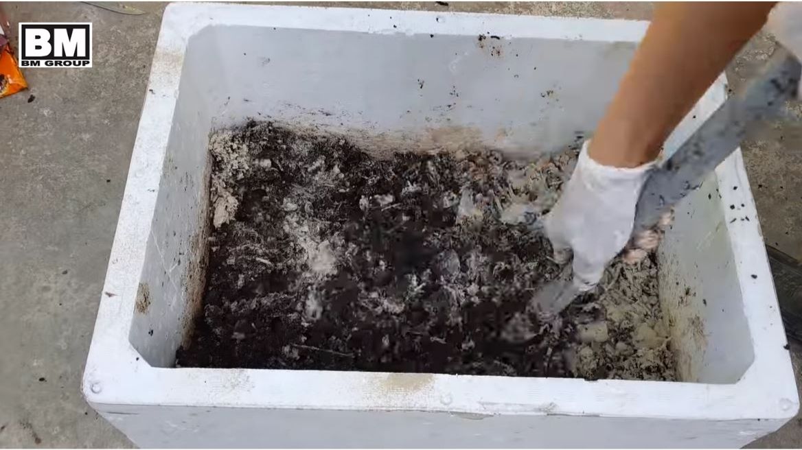 Cách làm phân bón hữu cơ bằng bã cà phê và xác trà