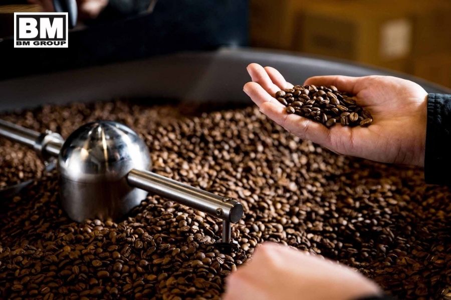 so sánh cà phê robusta | Arabica