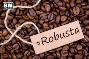 So sánh cà phê robusta và arabica