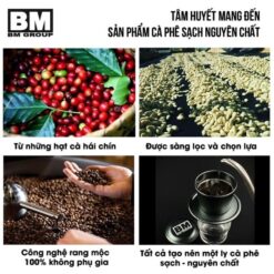 cà phê bột nguyên chất bm group