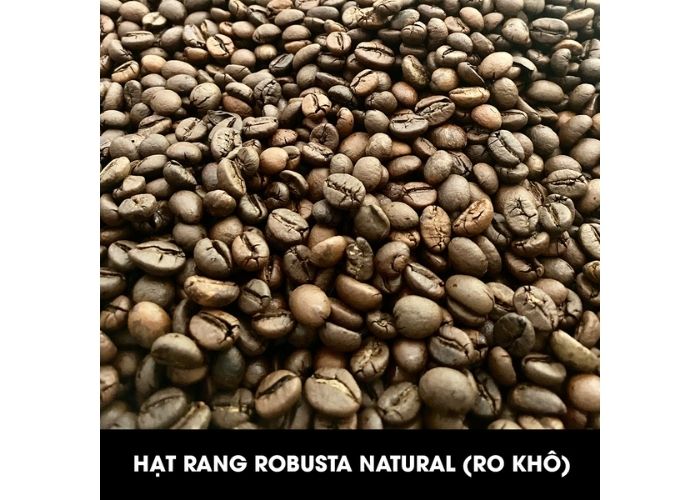 cà phê hạt rang robusta Natural