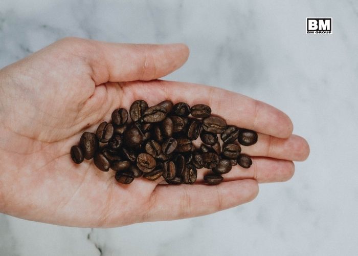 cà phê bột robusta | BM GROUP