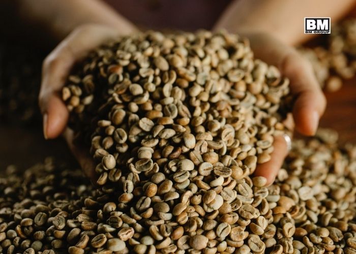 cafe robusta rang xay nguyên chất