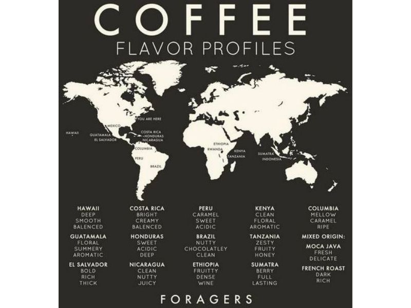 Cà phê hạt rang nguyên chất BM GROUP