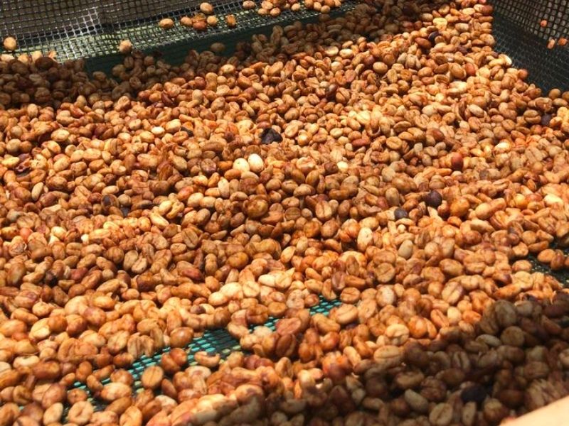 Mua cafe hạt rang giá sỉ