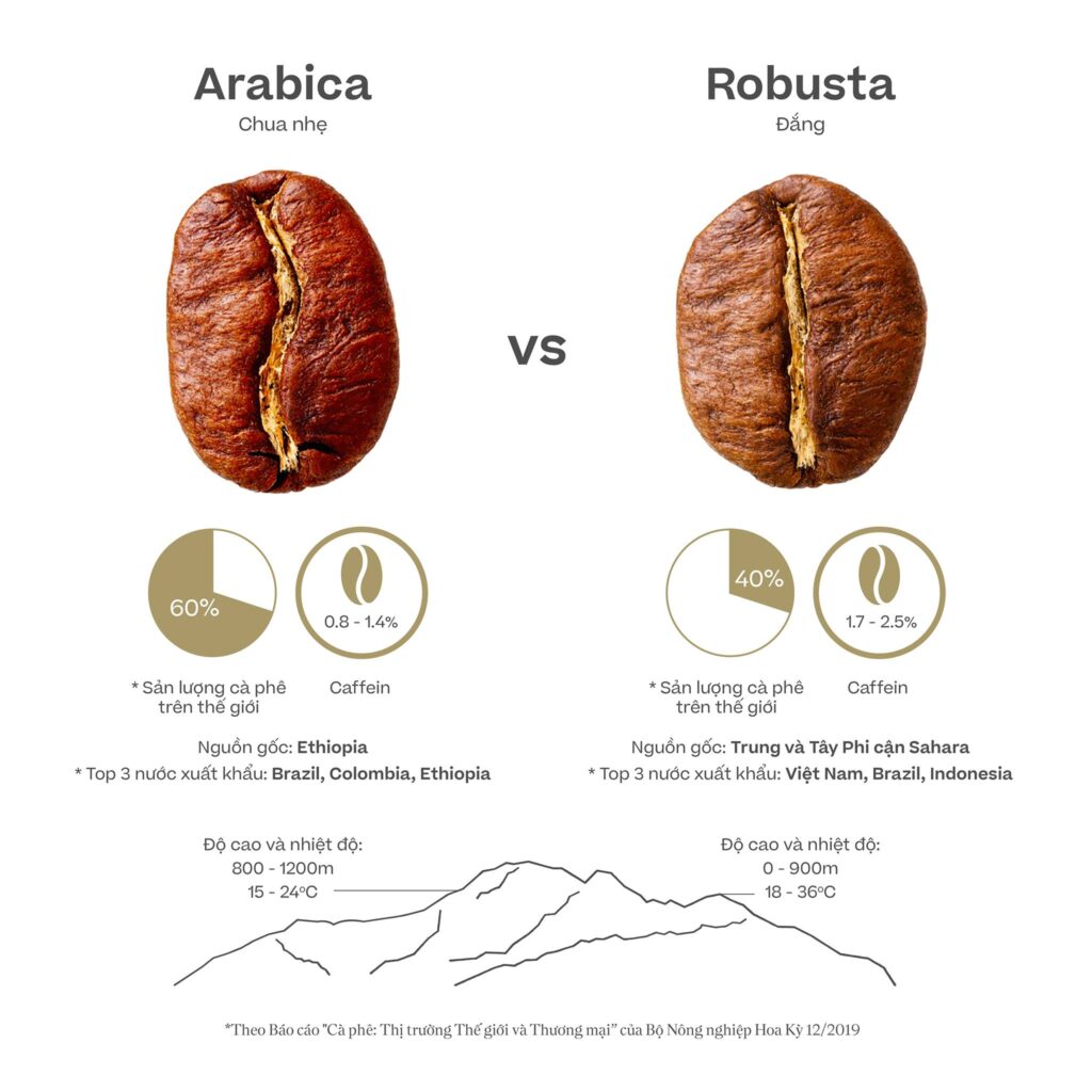 Arabica và Robusta