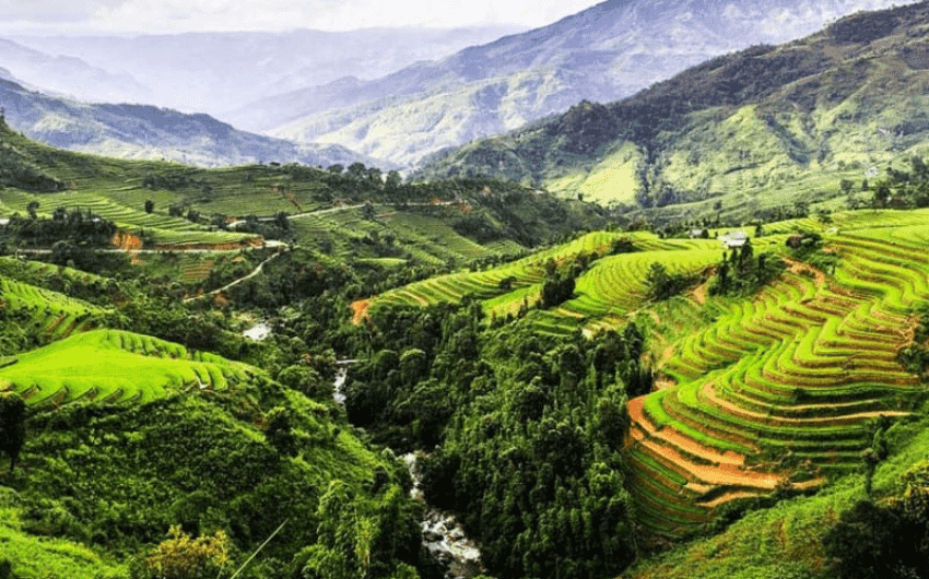 Đặc sản Tây Nguyên