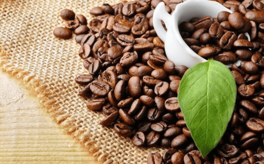 Cà phê ngon ở Buôn Ma Thuột