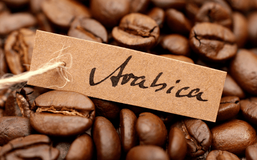 Cách pha cà phê Arabica