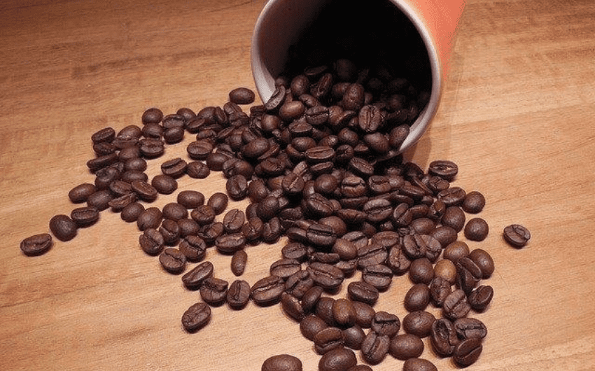 Robusta nguyên chất