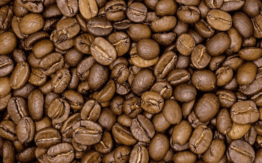 arabica cầu đất
