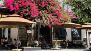 Quy trình chế biến cà phê đặc sản