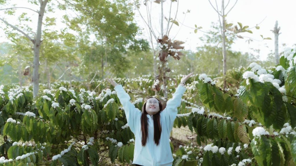 du lịch vườn cà phê