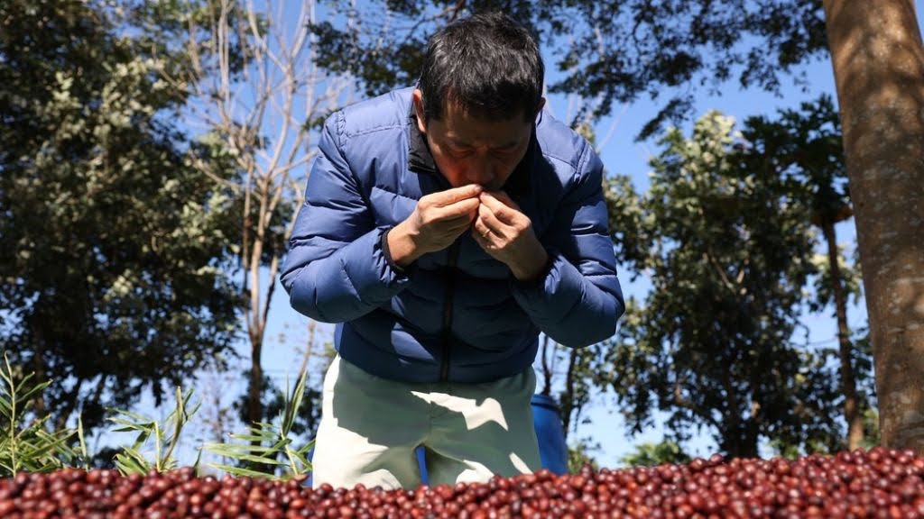 thị trường quốc tế và nội địa