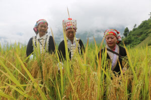 lễ hội truyền thống Đăk Lăk