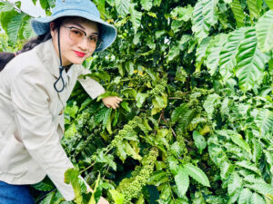 mua cà phê ngon ở buôn ma thuột