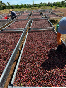 Quy trình chế biến