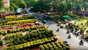 tết đi đâu chơi